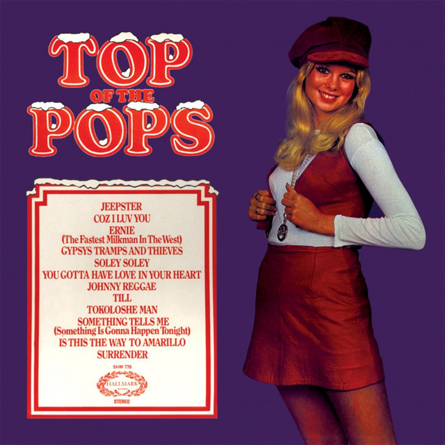 TOP OF THE POPS 21 album cover