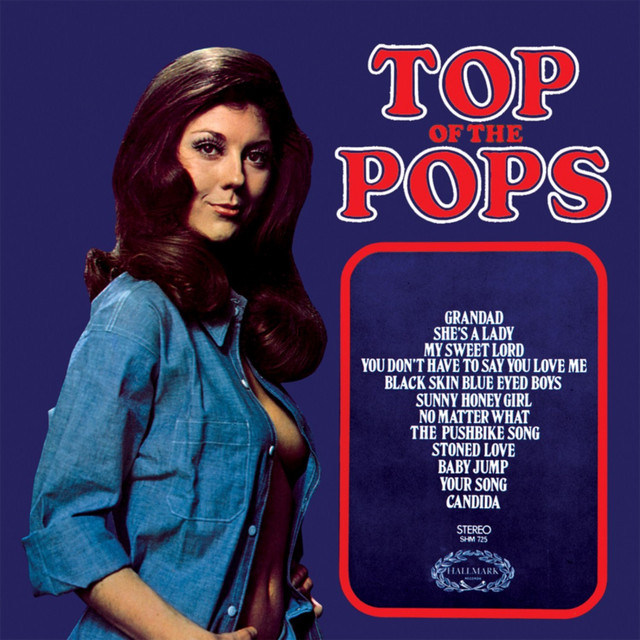 TOP OF THE POPS 15 album cover