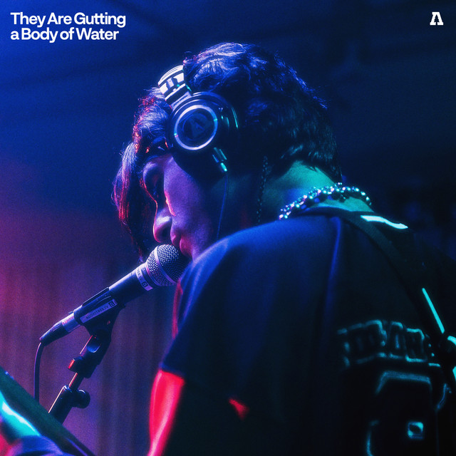 They Are Gutting a Body of Water on Audiotree Live album cover