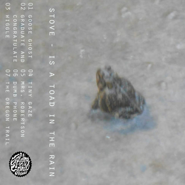 Is a Toad in the Rain album cover