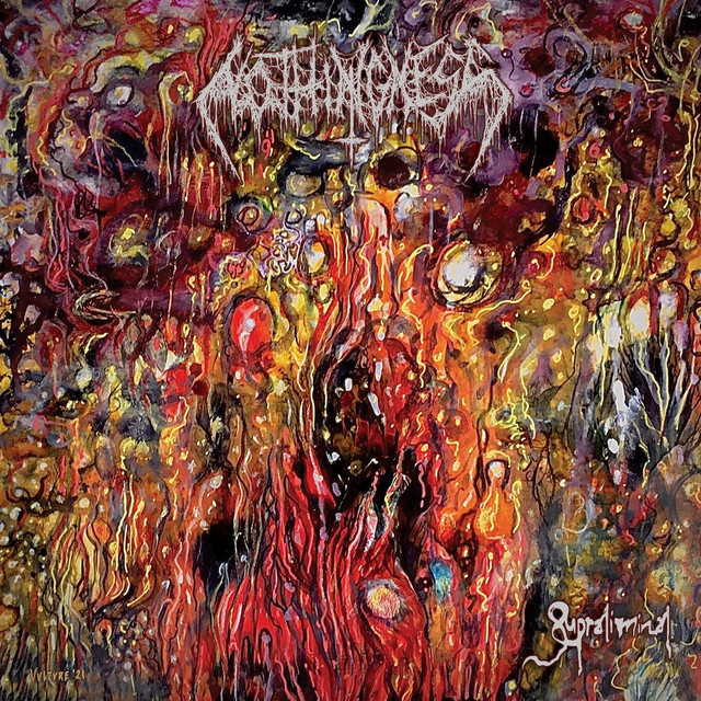 Supraliminal album cover