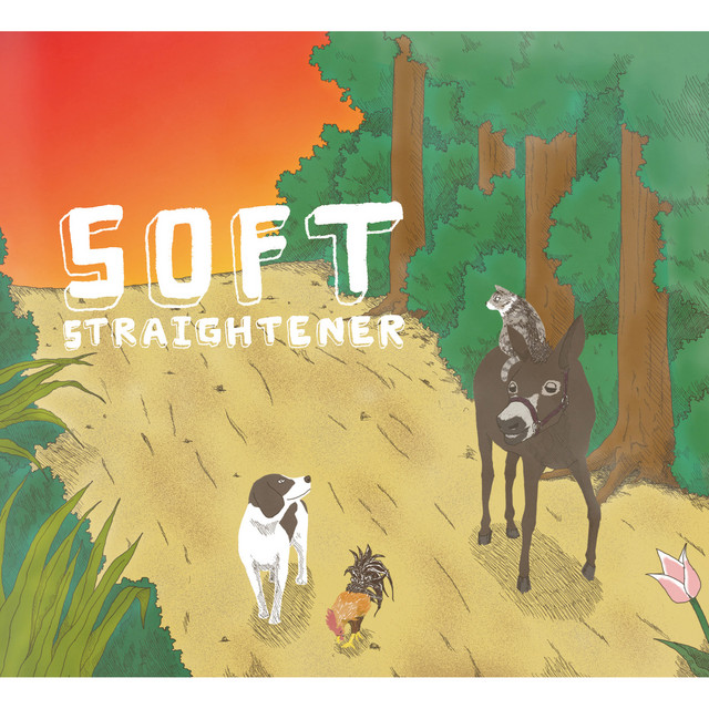 SOFT album cover