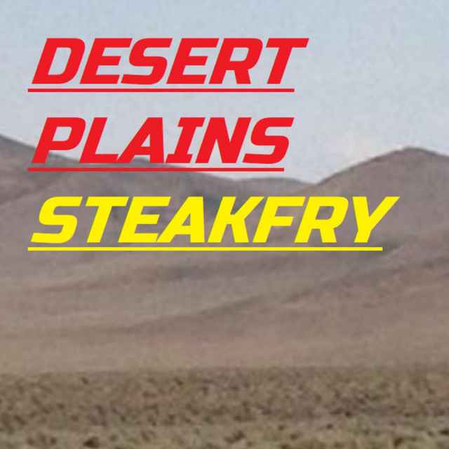 Desert Plains album cover
