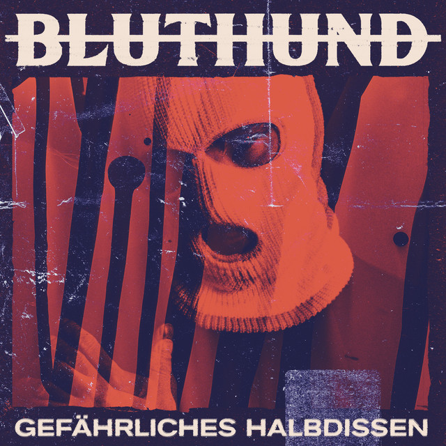 Gefährliches Halbdissen album cover