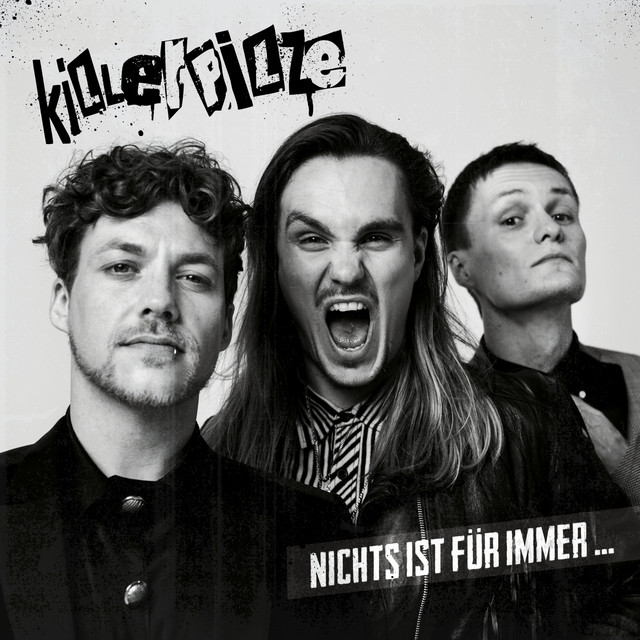 Nichts ist für immer... album cover