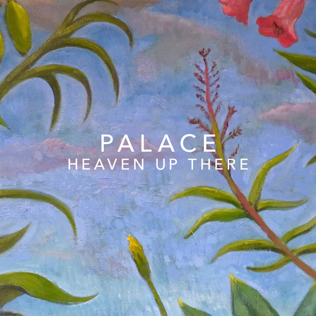 DigiTech HardWire DL-8 Delay/Looper as heard on Heaven Up There by Palace (2018)