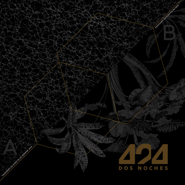 Dos Noches (En Vivo) album cover