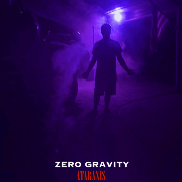 Zero Gravity album cover