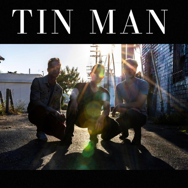Tin Man album cover