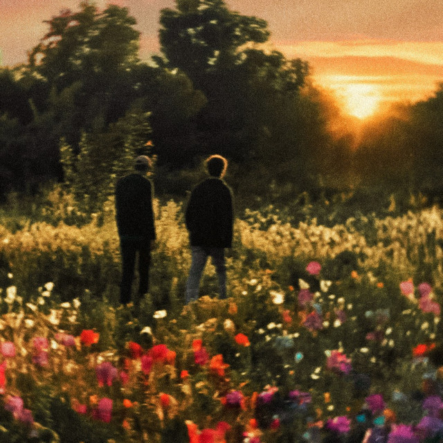 La Nuit des Anémones album cover