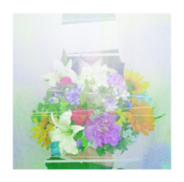 夏草が邪魔をする album cover