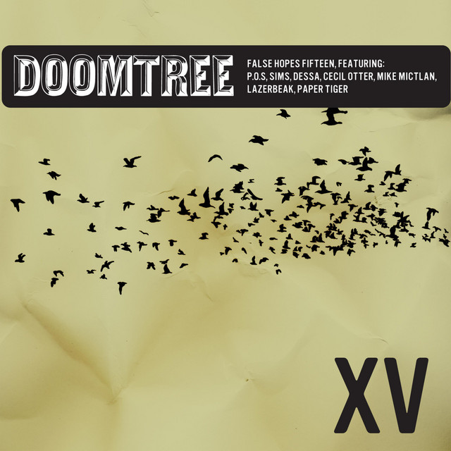 F H : X V (False Hopes 15) album cover