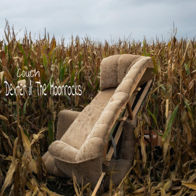 Friedman Vintage T as heard on Couch by Dexter and the Moonrocks (2021)