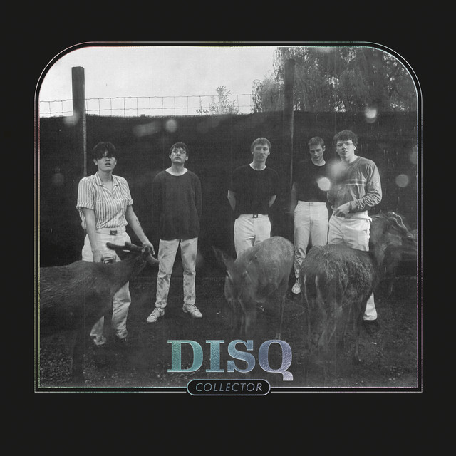 Collector album cover