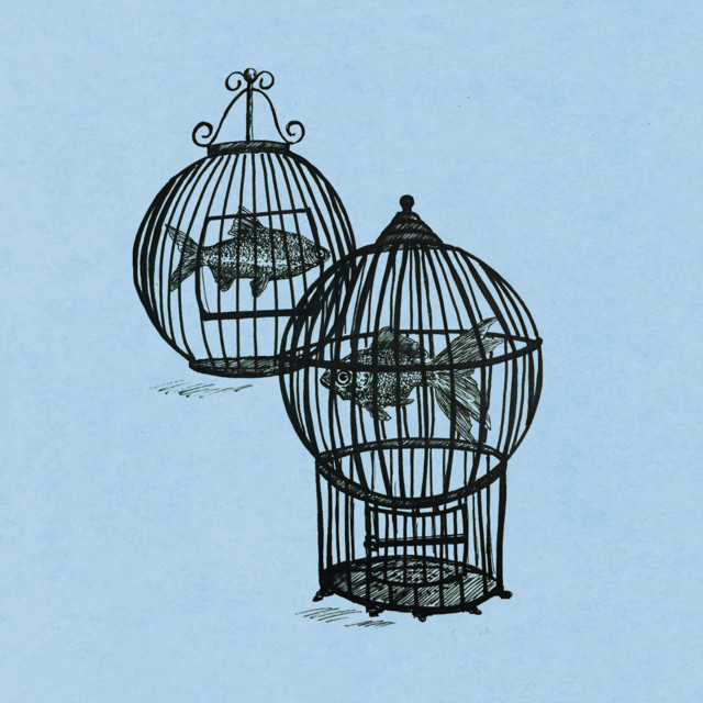 Through the Tides album cover