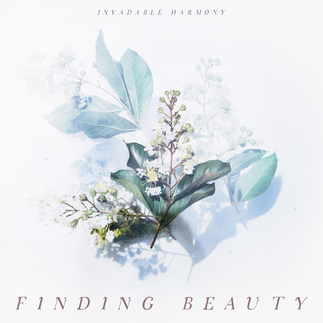 Finding Beauty album cover