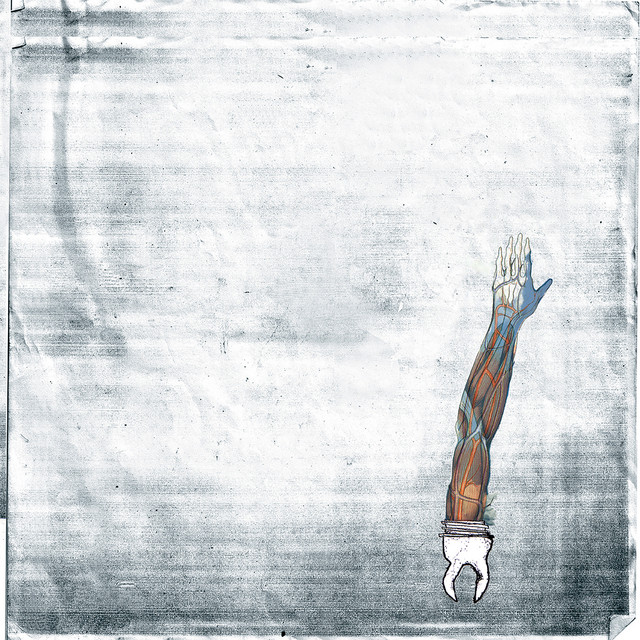 A New White album cover