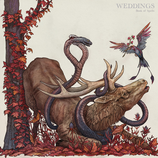 Book of Spells album cover