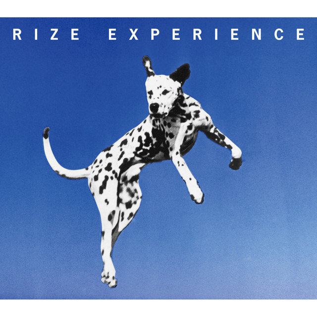 EXPERIENCE album cover