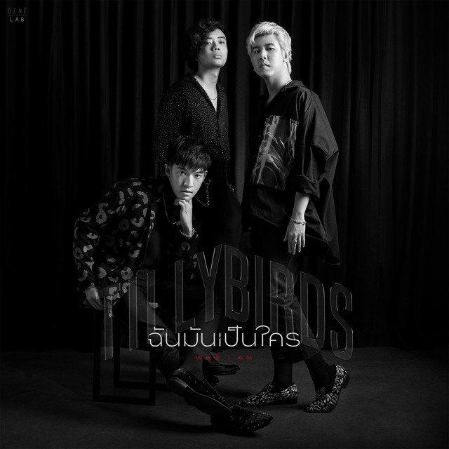 Tama Silverstar Mirage as heard on ฉันมันเป็นใคร (Who I Am) by Tilly Birds (2020)