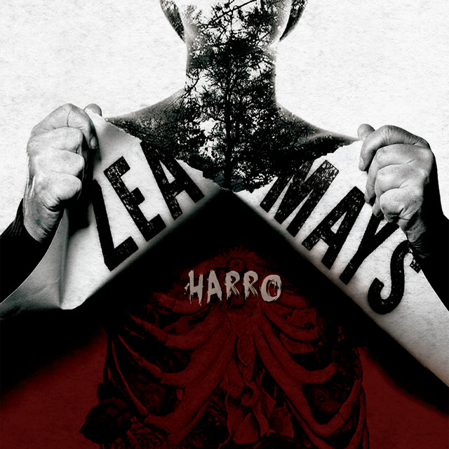 Harro album cover