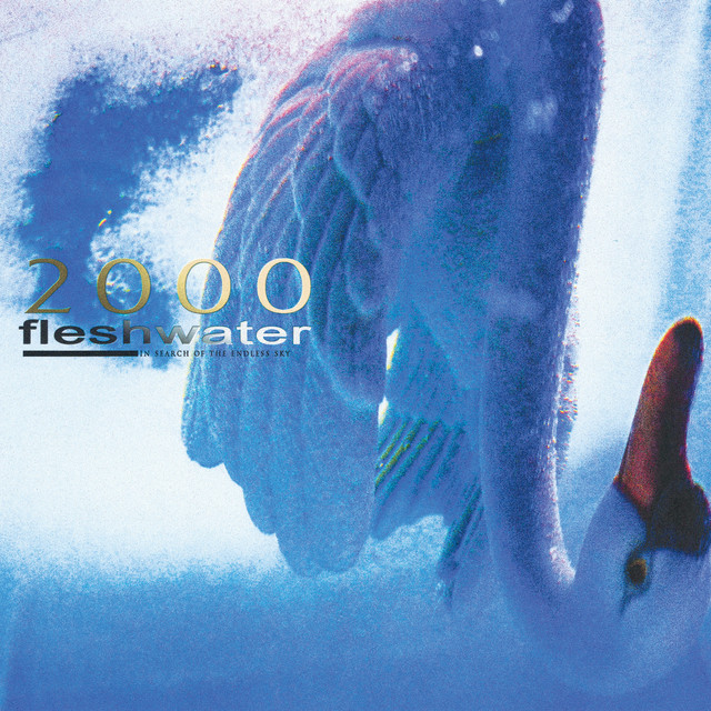 2000: In Search Of The Endless Sky album cover