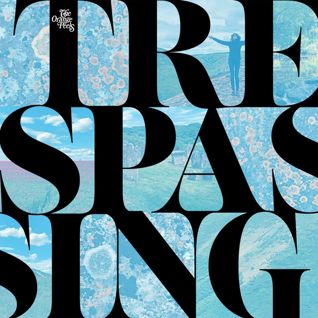 Trespassing album cover