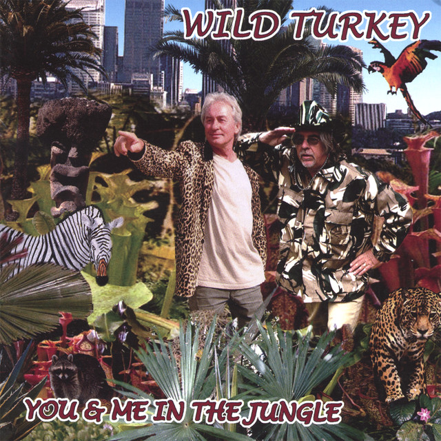 You And Me In The Jungle album cover