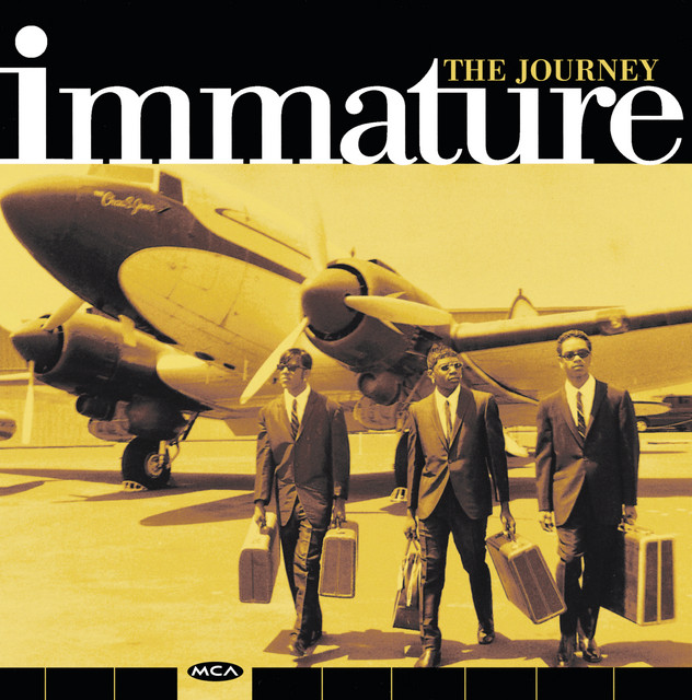 The Journey album cover