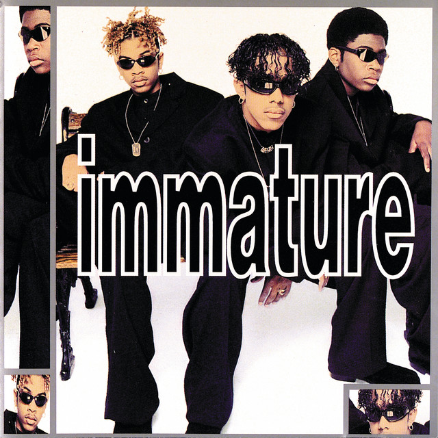 We Got It album cover