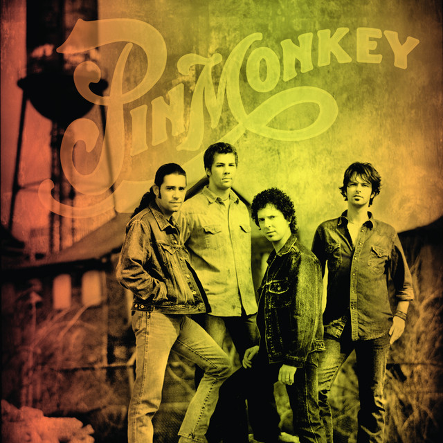 Pinmonkey album cover