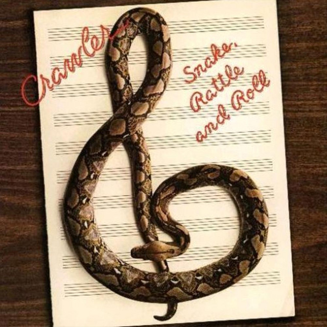 Snake Rattle & Roll album cover