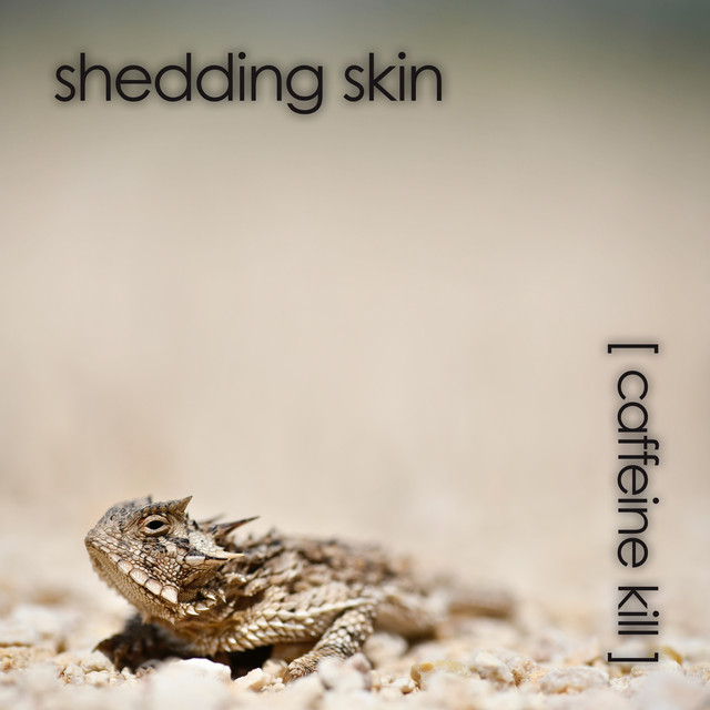 Shedding Skin album cover