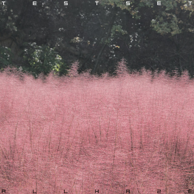 ALL HAZE album cover