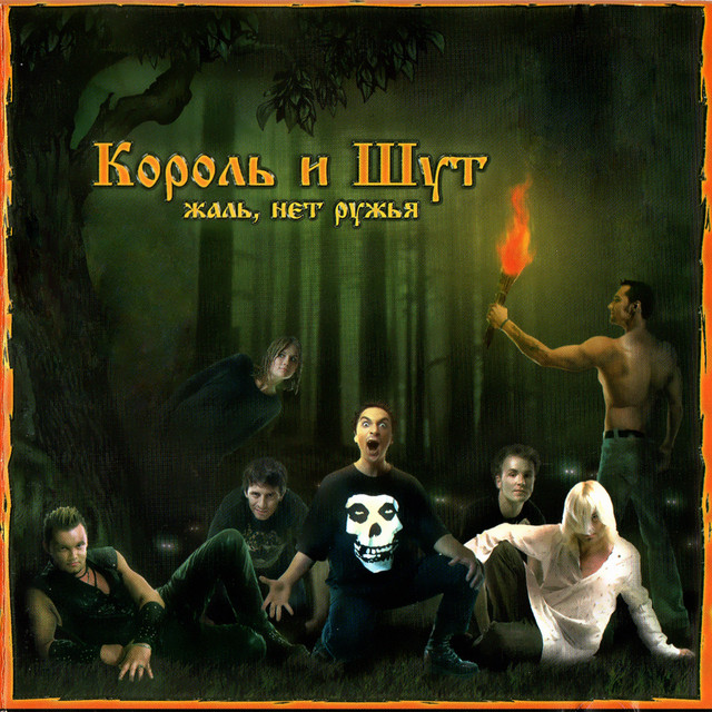 Жаль, нет ружья album cover