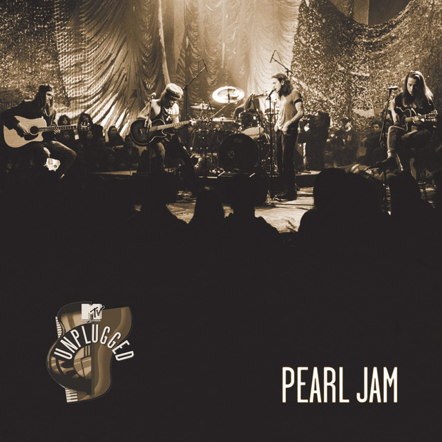 Shure SM58 as heard on MTV Unplugged by Pearl Jam (2020)