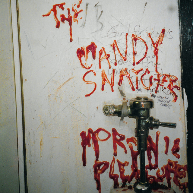 Moronic Pleasures album cover