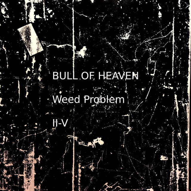 Weed Problem II-V album cover
