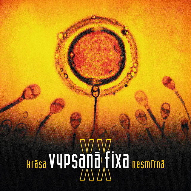 Krása nesmírná XX album cover