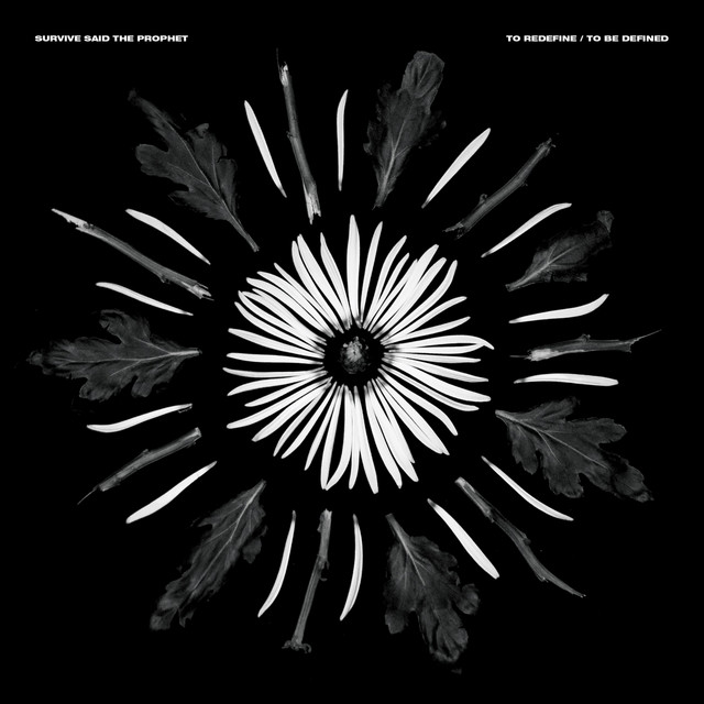 To Redefine / To Be Defined album cover
