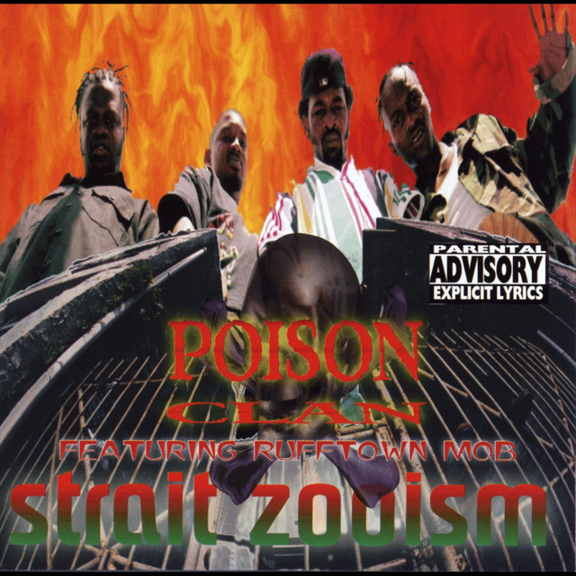 Straight Zooism album cover