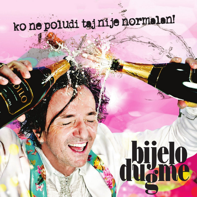 Ko ne poludi taj nije normalan! album cover
