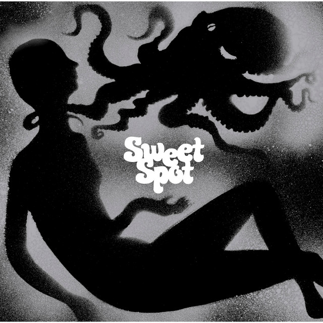Sweet Spot album cover