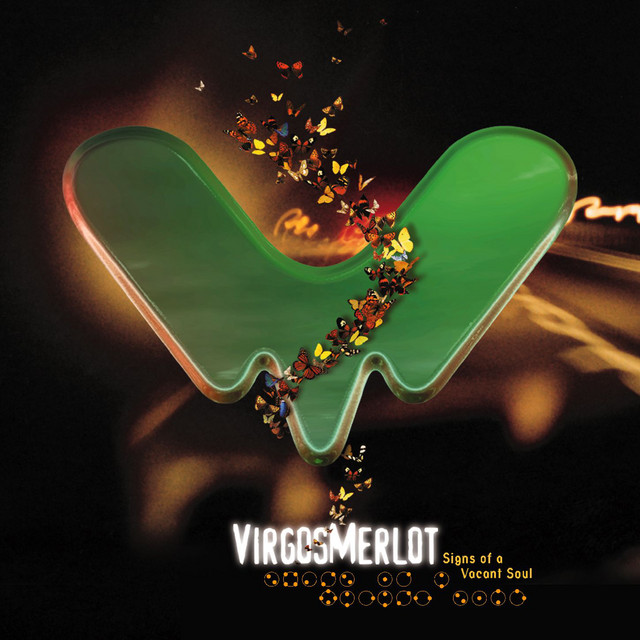 Signs Of A Vacant Soul album cover