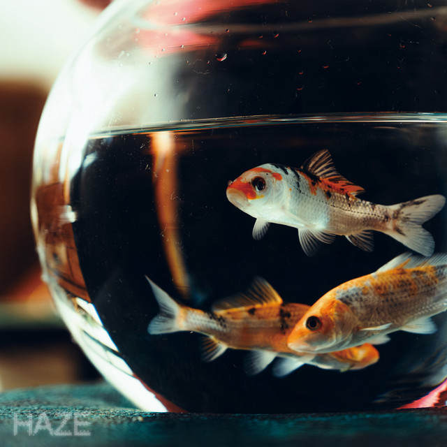 HAZE