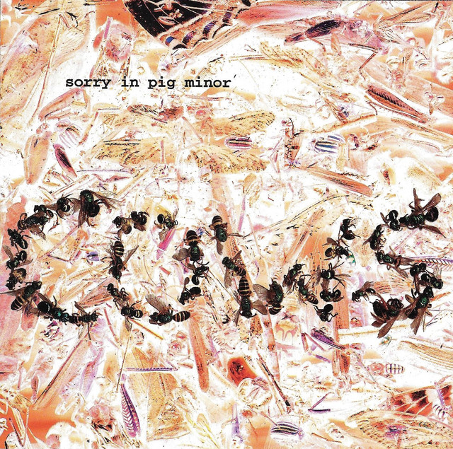 Sorry In Pig Minor album cover