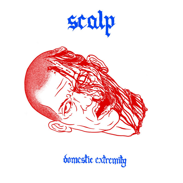 DOMESTIC EXTREMITY album cover