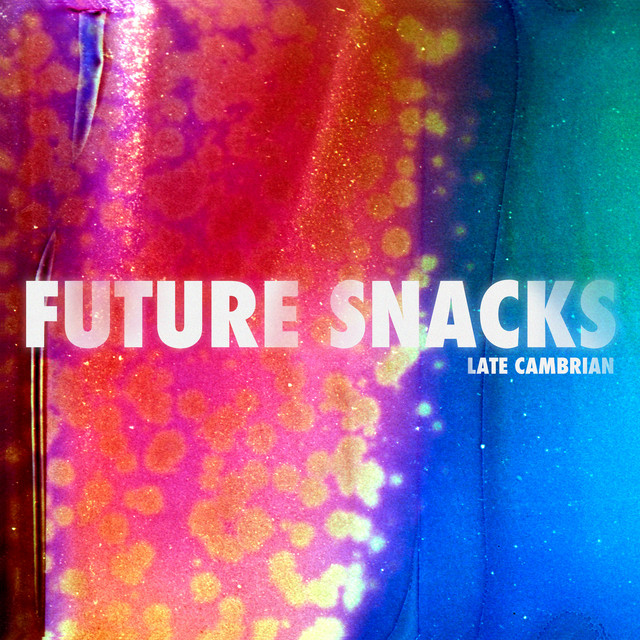 Future Snacks album cover