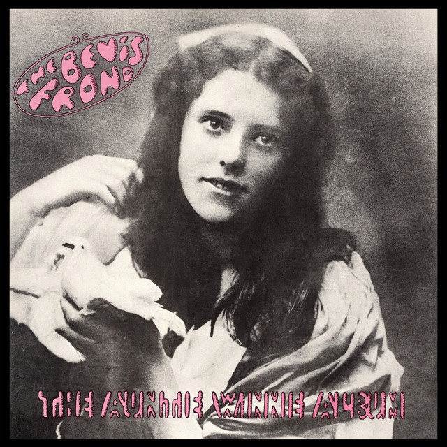The Auntie Winnie Album album cover