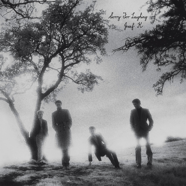 Sorry for Laughing album cover